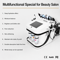 Appareil de beauté facial 10 en 1 Hydro Dermabrasion pour nettoyage en profondeur de la peau, élimination des points noirs, jet d'oxygène H202, peeling à l'eau