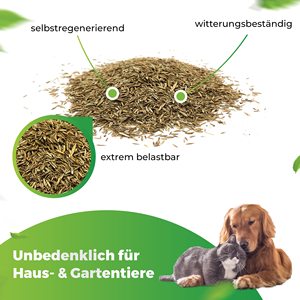Gazon synthétique naturel haute résistance pour sports, germination rapide, usage domestique et jardin, 10 kg, écologique, marque Fun, style campagnard - Product Image 4