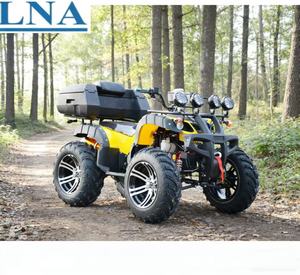 <span class=keywords><strong>Quad</strong></span> <span class=keywords><strong>chinois</strong></span> LNA avec logo personnalisé, 300cc, facile à conduire, idéal pour la conduite sur la plage - Product Image 4