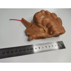 Kyrenmed 3D Ruột Thừa mô hình với 2mm hoặc 5mm mô phỏng mạch máu nội soi phẫu thuật đào tạo mô phỏng - Product Image 3