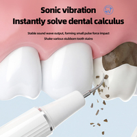 Nettoyeur dentaire ultrasonique XBH 800mAH IPX6 avec détartreur, blanchiment des dents pour usage domestique, kit de nettoyage des dents pour chiens