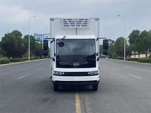 Camion frigorifique BYD neuf de 8 tonnes, diesel, 4x2, conduite à gauche, pour le transport urbain de denrées alimentaires congelées, avec système de réfrigération Thermoking. - Product Image 2