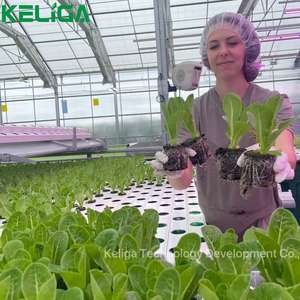 Garden Farming Invernadero NFT Hydroponics PVC Channel pour système de culture hydroponique Farm Salad - Product Image 1