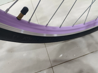 Usine chinoise directe en gros 20 pouces cadre en acier ville équitation fille vélo à vitesse unique de haute qualité