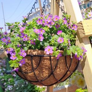 <span class=keywords><strong>Maceta</strong></span> de hierro con orquídea colgante de palma de coco, cesta colgante de eneldo verde para columna de balcón, paquete de <span class=keywords><strong>maceta</strong></span> colgante de eneldo verde - Product Image 3