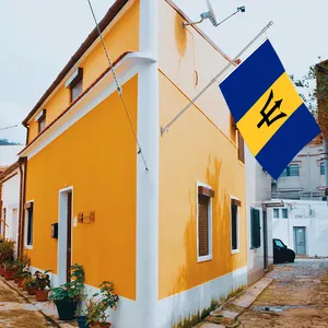 Banderas de Barbados de 3x5 pies al por mayor, poliéster 68D/100D. Personalizar todas las naciones, envío rápido. Proveedor fiable, entrega rápida