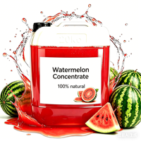 Extrait de pastèque naturel liquide, concentré aromatisant aux fruits pour les boissons, qualité alimentaire, certifié HACCP