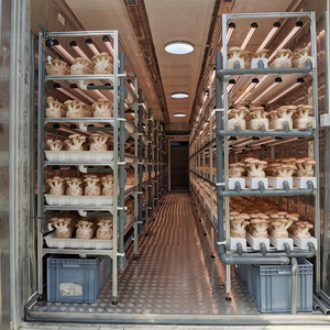 Contenedor de Cultivo de <span class=keywords><strong>Hongos</strong></span> de 20/40 Pies, Invernadero con Sistema de Control Climático y Estantes - Product Image 3
