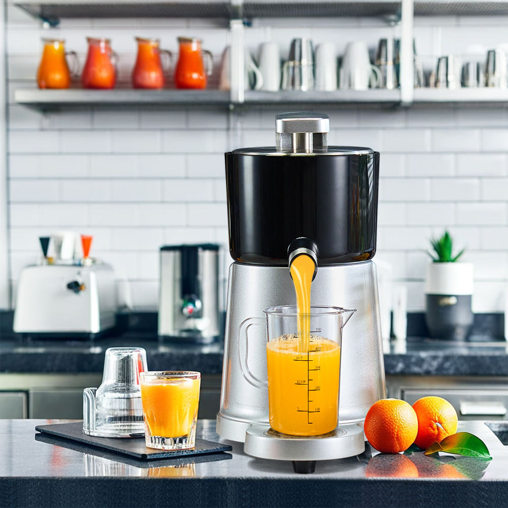 Juice Fountain Best Inexpensive Juicer 2021 Slow Juicer Flipkart