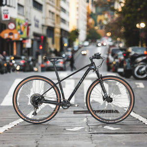 Bicicleta de Montaña de Fibra de Carbono <span class=keywords><strong>para</strong></span> Hombre LEAO 2025, Nueva, en Oferta, 29 Pulgadas, Bicicleta de Carbono SX de 12 Velocidades, <span class=keywords><strong>Color</strong></span> Gris, Bicicleta MTB en Venta - Product Image 1