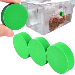 Sous Vide magneti per mantenere le borse sommerse e In posizione accessori Sous Vide per fermare le borse galleggianti e i pesi sottotop - Product Image 3