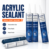 Scellant acrylique transparent prêt à l'emploi pour portes, séchage rapide, mastic acrylique lisse pour fissures, mastic acrylique lisse pour murs intérieurs