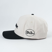 Groothandel Custom 5 Panel Borduurwerk Logo Baseballpet Ongestructureerde Golfhoed Modieus Fruit Dot Made Oxford Sportieve Dobby