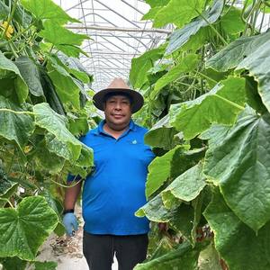 Serre hydroponique de chanvre à vendre - Product Image 3