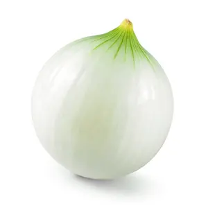 Cheap Price Peeled White Onion For Export