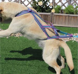 PVCマッシング<span class=keywords><strong>X</strong></span>バックハーネス犬用パッド入りペットそりスキージョーリングスクータートレーニングエクササイズ作業犬の引っ張り用ハーネス - Product Image 4