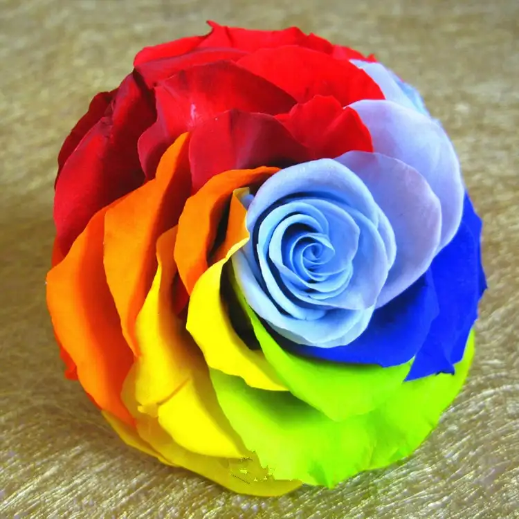 YUNNAN A grade 3~5 years long lasting preserved flower roses 9-10 cm big size preserved rainbow rose head