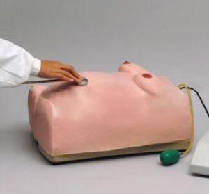 Livraison de simulateur d'examen de maternité en sciences médicales et modèle de <span class=keywords><strong>formation</strong></span> des compétences des spécialistes maternels - Product Image 4