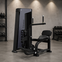 Chaise romaine commerciale en métal durable pour l'entraînement musculaire, avec extension dorsale et banc abdominal