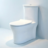 WC en céramique à siphon intégré, design monobloc, puissant jet d'eau, fonctionnement silencieux, économie d'eau, anti-odeurs, fermeture lente, design moderne
