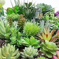 Succulentes en gros décoratif mini cactus assortiment extérieur intérieur suspendu arrangement plantes artificielles succulentes à vendre