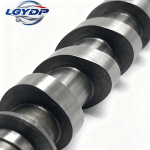 Árbol de levas LGYDP para <span class=keywords><strong>Renault</strong></span> Duster <span class=keywords><strong>Sandero</strong></span> F4R, motor <span class=keywords><strong>nuevo</strong></span>, OEM 130209419R, piezas de motor para automóvil - Product Image 4