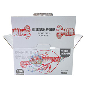 Boîtes isothermes pour le transport d'aliments congelés, boîtes isothermes pour la viande et les fruits de mer, emballage thermique pour la chaîne du froid, boîtes d'expédition isothermes - Product Image 5