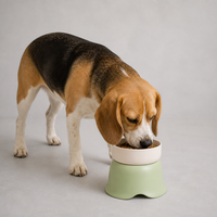 YAOYUE Support de gamelle surélevée pour animaux de compagnie, base en PP détachable à double usage avec bols intérieurs en céramique et en acier inoxydable pour chats et chiens