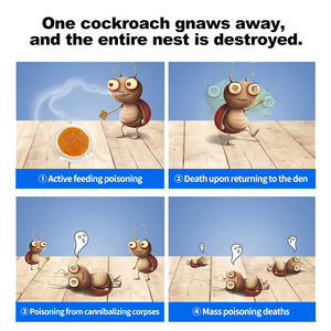Trampa para Insectos Desechable Todo en Uno, Cuadrada, de Plástico Sólido, para <span class=keywords><strong>Cucarachas</strong></span>, con Control de Insectos - Product Image 2