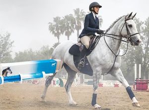 יצרן תוספי תזונה מקצועיים לחיות מחמד מייצר סוסים - Product Image 3