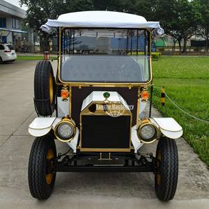 Auto Clásico Eléctrico de 11 Plazas Personalizado de Fábrica - Product Image 1