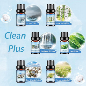 Coffret Cadeau d'Huiles Parfumées QHD Clean Plus à <span class=keywords><strong>Prix</strong></span> Compétitif – Huiles Parfumées pour Diffuseur, Fabrication <span class=keywords><strong>de</strong></span> Bougies, Marque Privée - Product Image 2