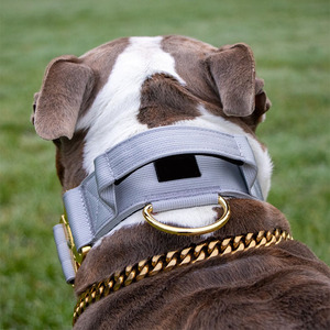 Collar de perro táctico de liberación rápida resistente de alta calidad con hebilla de Metal personalizado, Collar de perro táctico de nailon duradero - Product Image 4