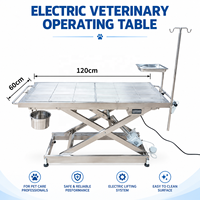 Table d'opération vétérinaire électrique de 48 pouces en acier inoxydable, hauteur réglable, table de chirurgie pour animaux pour clinique vétérinaire