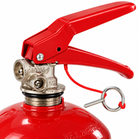 Valve d'extincteur à CO2 à poignée rouge certifiée CE en laiton pour bouteilles de 2 à 10 kg, OEM disponible
