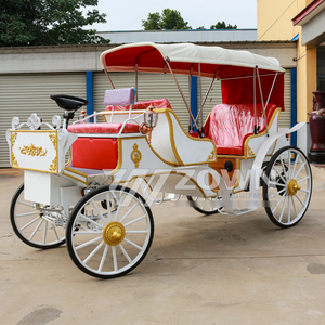 Chariot Électrique de Loisirs Extérieur pour Visites Touristiques – Navette Pratique pour Services Hôteliers - Product Image 5