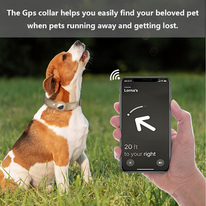 Benutzer definierte Luxus reflektierende Nylon verstellbare Anti-Lost Pet <span class=keywords><strong>Dog</strong></span> Cat Tracking Halsband mit Airtag Halter <span class=keywords><strong>GPS</strong></span> Hund Katzen halsband - Product Image 6