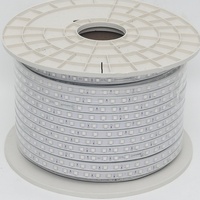 Guirlandes lumineuses LED flexibles colorées pour Noël, étanches IP67, double rangée Epistar 180 LED/m, découpables, PCB 8 mm, dimmables