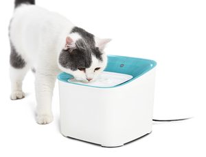 Ultra-Quiet 3L Infrared Sensor <b>Automatic</b> and Dog <b>Water</b> <b>Dispenser</b> Reusable Veterinary Instrument for Cats Dogs - Product Image 3