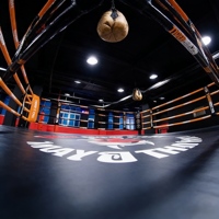 Anneau de boxe professionnel personnalisé pour l'entraînement en salle, en plein air, Muay Thai, UFC, MMA, équipement de kick-boxing, construction en acier
