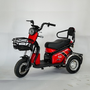 Modelo Buding, Bicicleta Eléctrica de Pasajeros de 600 W y 48 V, Triciclo de 3 Ruedas con Carrocería Abierta, Venta Directa de Fábrica al Por Mayor, Mejor Precio - Product Image 1