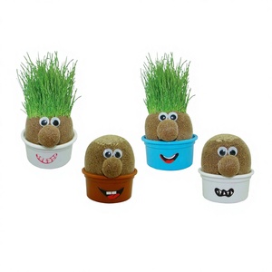 Kit Educativo STEM DIY de Cultivo de Hierba para Niños, Muñeco de Hierba BEAVER, Divertido Kit de Plantación de Semillas de Hierba de Centeno, Experimento de Aprendizaje de Ciencia y Naturaleza, Regalo - Product Image 4