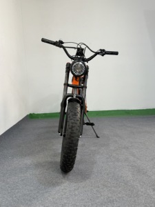 <span class=keywords><strong>Vélo</strong></span> <span class=keywords><strong>Électrique</strong></span> Urbain Personnalisé avec Écran Intelligent, Moteur Haute Vitesse et Conception Ergonomique - Product Image 6