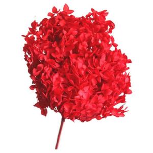 <span class=keywords><strong>Bouquet</strong></span> d'hortensias <span class=keywords><strong>séchées</strong></span> de haute qualité, 24 pièces, petites feuilles, fausses <span class=keywords><strong>fleurs</strong></span>, pour la décoration de la maison - Product Image 1