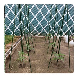 เสาค้ำต้นไม้ เหล็กเคลือบพลาสติก สำหรับปลูกพืชเลื้อย - Product Image 4