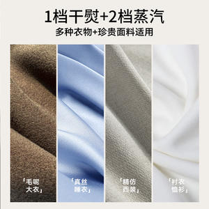 Défroisseur Vapeur Portable Électrique AUX 0.9L-1.3L – Éliminateur de Plis pour Usage Domestique - Product Image 4