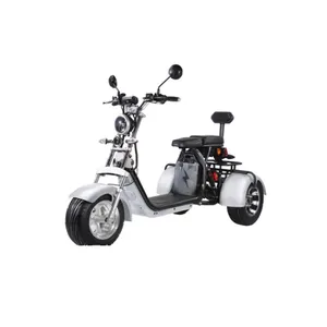 2021 New High Safety Strong Motor Snow Scooter Kunden spezifische Farbe Energie sparendes elektrisches Schneemobil