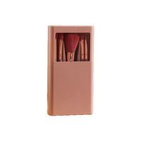 Mini ensemble de pinceaux de maquillage portable pour débutants 5 pièces outil complet avec pinceaux à poudre de cheveux synthétiques ultra doux dans une boîte de rangement