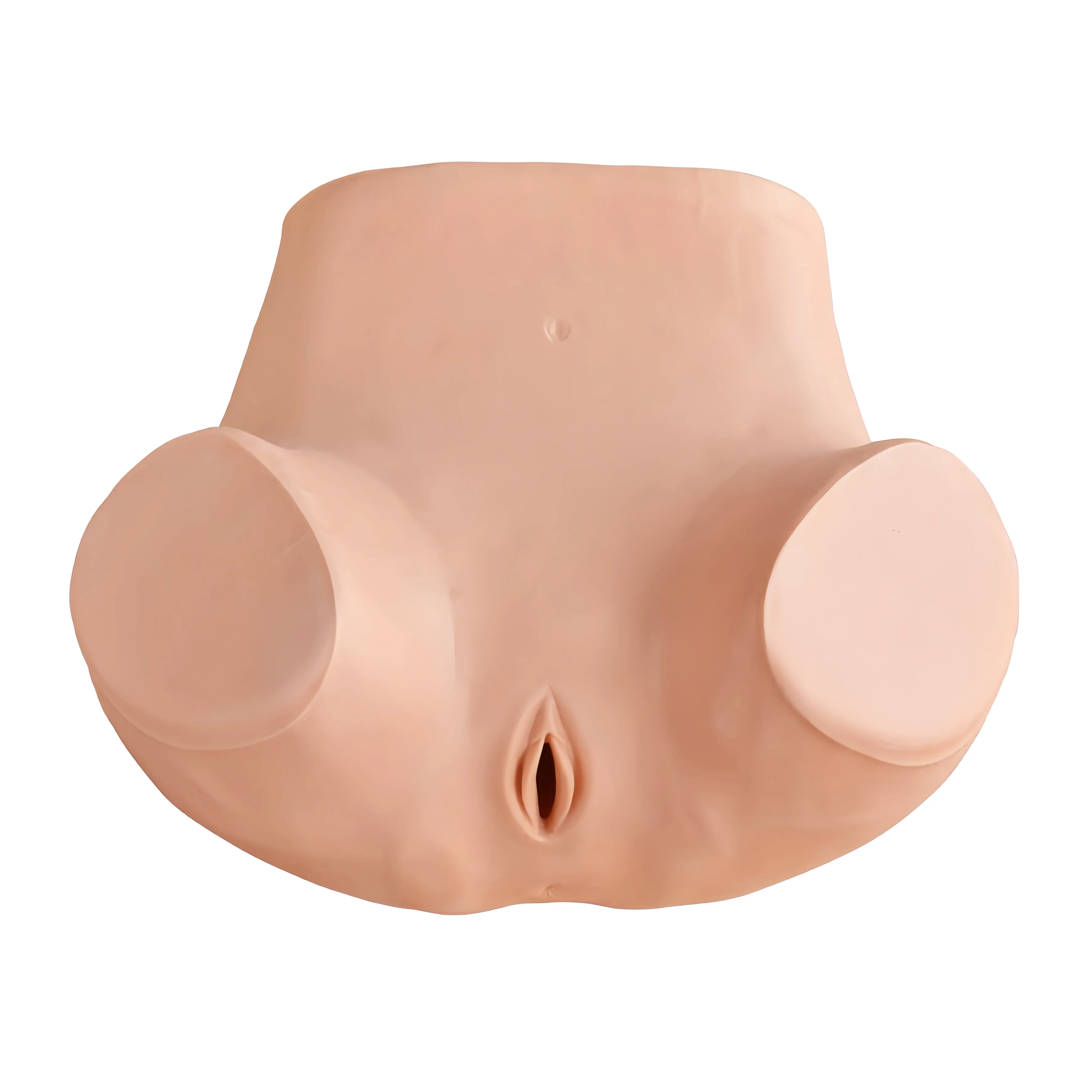 Medical Teaching PVC Advanced Gynecological Examination Training Simulator Model For Observe Uterus Vagina Pelvic Cavity Ovary