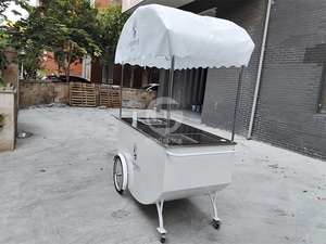 Carrito Móvil Personalizado con Equipamiento para Comida Rápida - Product Image 6